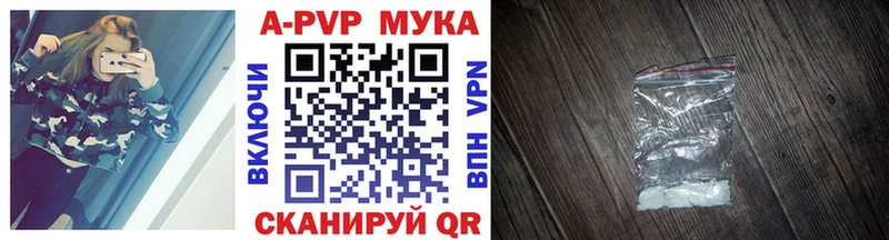 Альфа ПВП СК КРИС  Кириши 