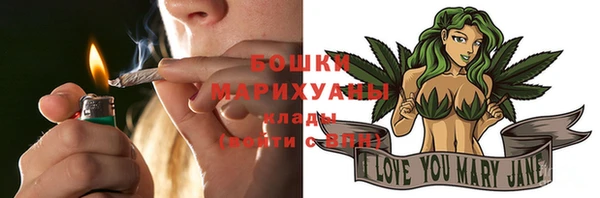 apvp Богородицк