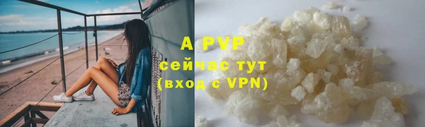 apvp Богородицк