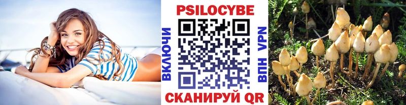 Псилоцибиновые грибы Cubensis  где можно купить   Кириши 